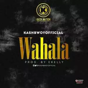 KashBwoY - Wahala (Snippet)